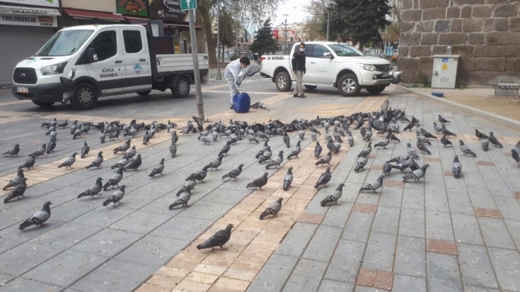 Doğa Koruma Ve Milli Parklar Müdürlüğü Hayvanları Unutmadı
