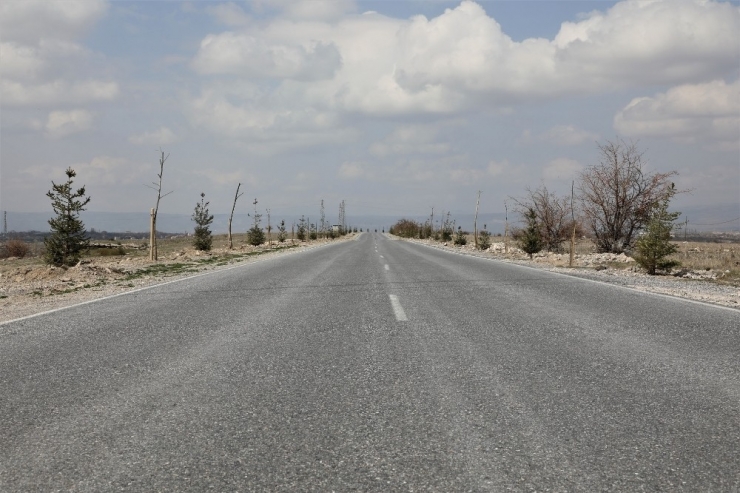 Güzelköy Ve Gürpınar Yolu Yeni Ağaçlarla Şenlenecek