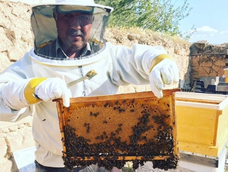 Nallıhan’da Arıcıların Bakım Sezonu Başladı