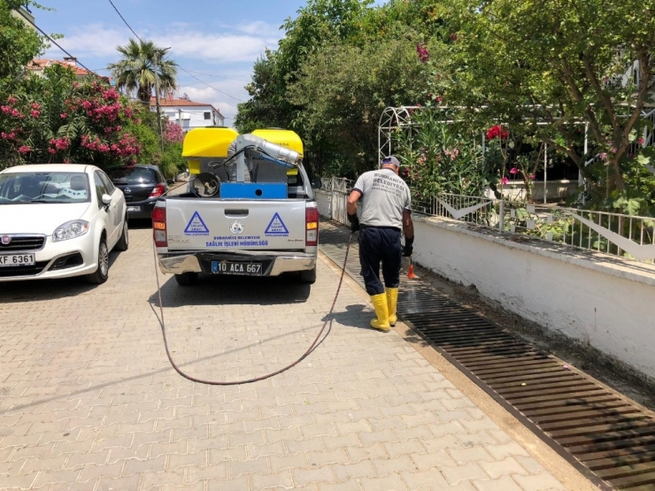 Burhaniye’de Sivrisinek Mücadelesi Devam Ediyor