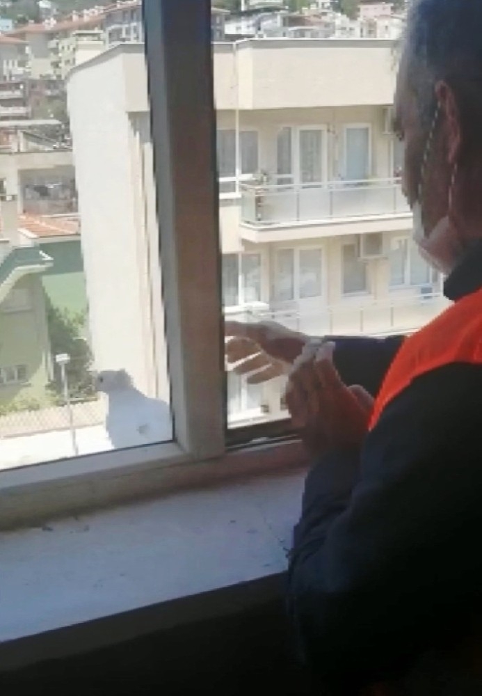 Vefa Grubu Beyaz Güvercini Özgürlüğüne Kavuşturdu