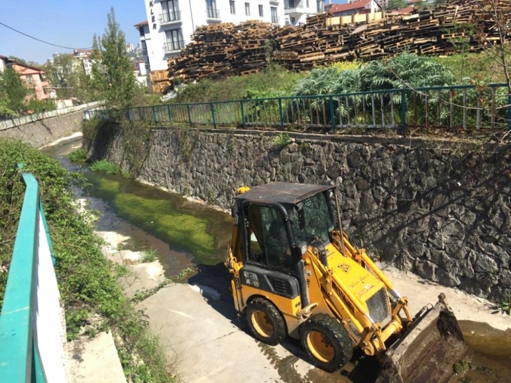 Kdz. Ereğli Belediyesi Kentte Ki Dereleri Temizliyor