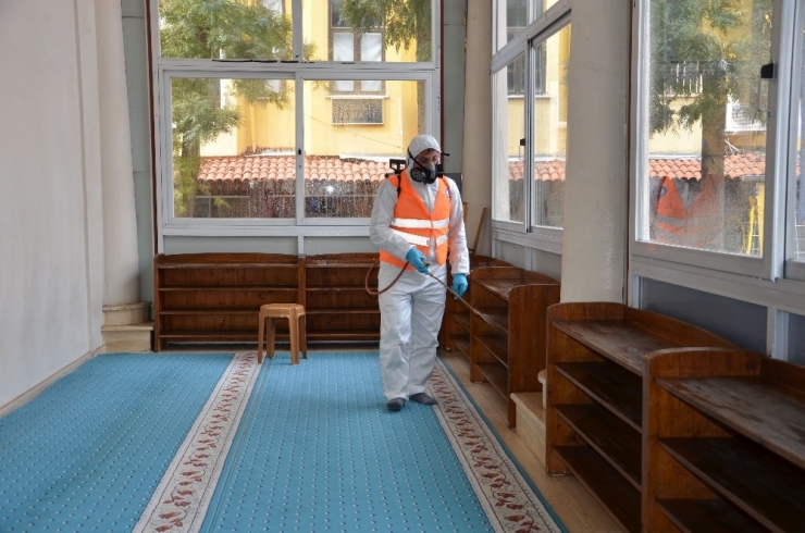 Antalya’da Sinekle Mücadele Devam Ediyor