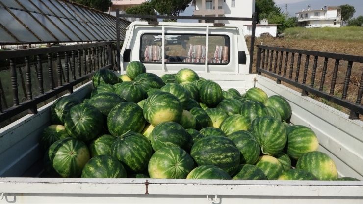 İthalatı Duran Karpuzda Talep Yerli Üreticilerin Yüzünü Güldürdü