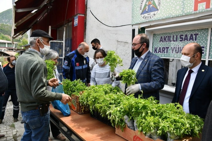 Ata Tohumlarından Üretilen Domates Fidelerinin Dağıtımına Başlandı