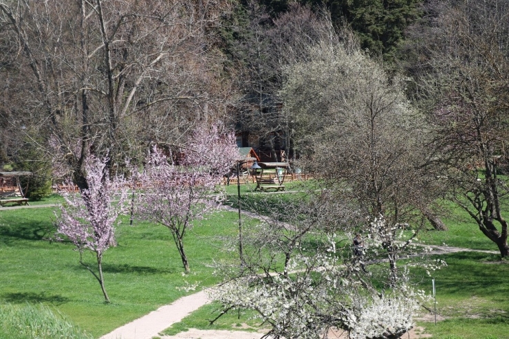 Gölcük Tabiat Parkı Sessizliğe Büründü
