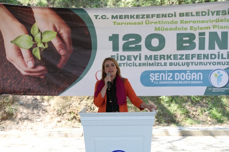 Merkezefendi Belediyesi 120 Bin Sebze Fidesi Dağıtımına Başladı