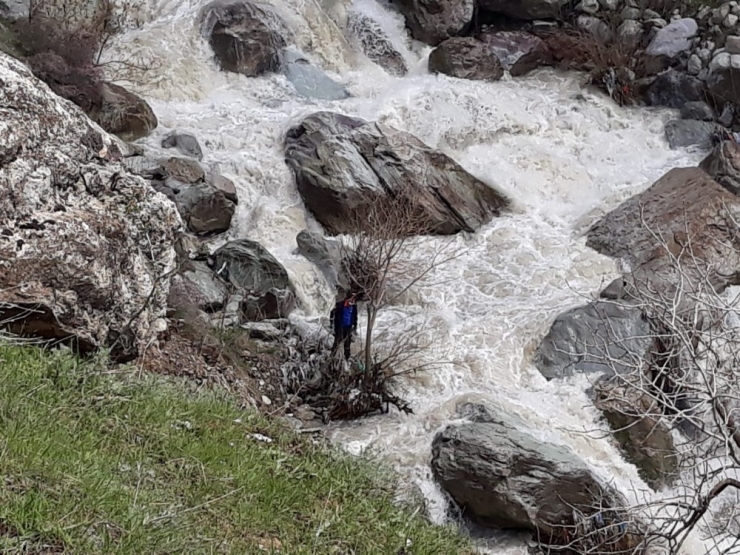 Kayalıklarda Mahsur Kalan Keçi Kurtarıldı