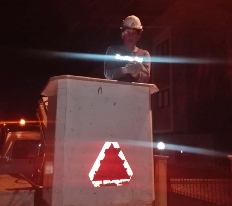 Yuvadan Düşen Yavru Kumru Sepetli Araç İle Yeniden Yuvaya Konuldu