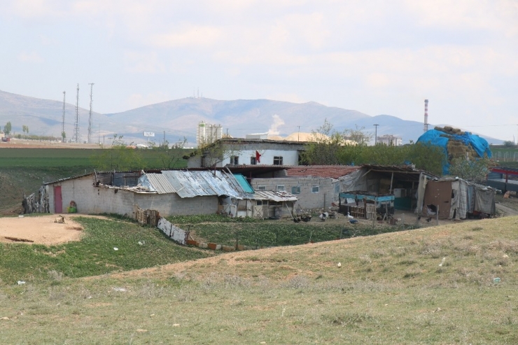 Kırşehir’de Çiftlik Evinde Köpek Saldırısına Uğrayan Çocuk Hayatını Kaybetti