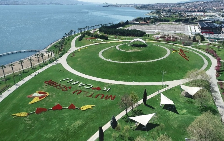 Görsel Şölen Oluşturan Lalelerin Güzellikleri Karşılıksız Kaldı