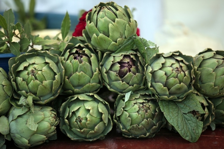 Hasanağa Enginarı Coğrafi İşaret Tescili Aldı