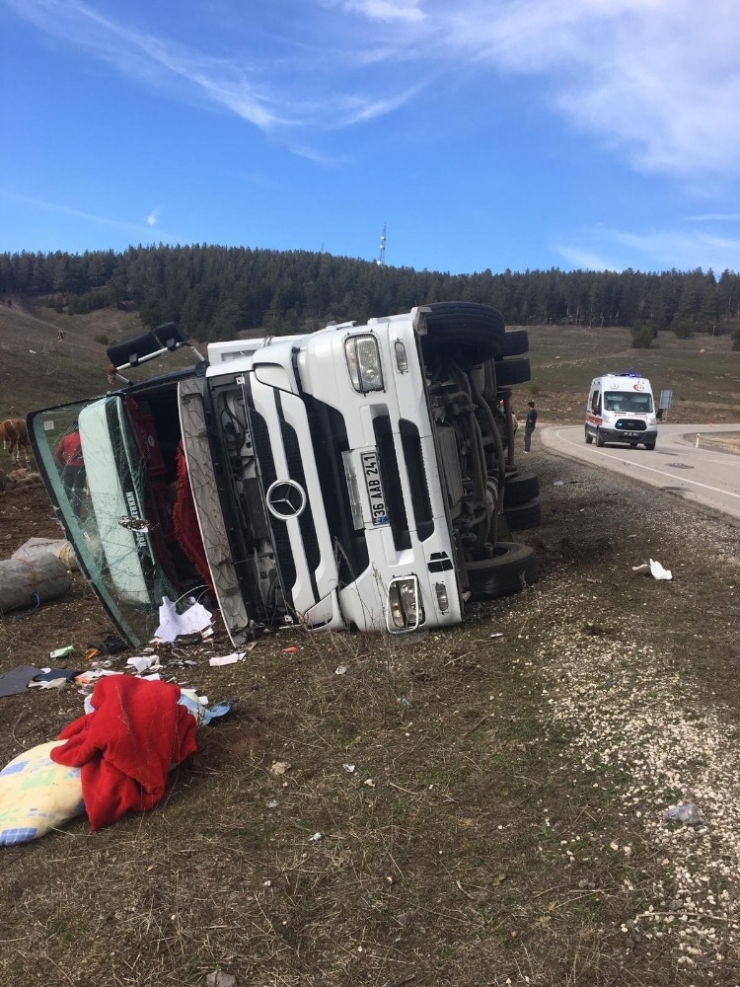 Kars’ta Büyükbaş Hayvan Taşıyan Tır Kaza Yaptı