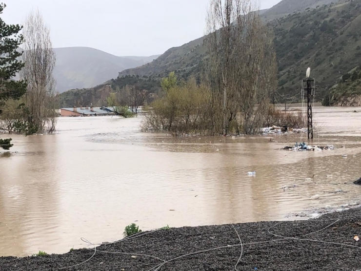 Sarıkamış’ta Köylüler Cumhurbaşkanından Yardım İstiyor