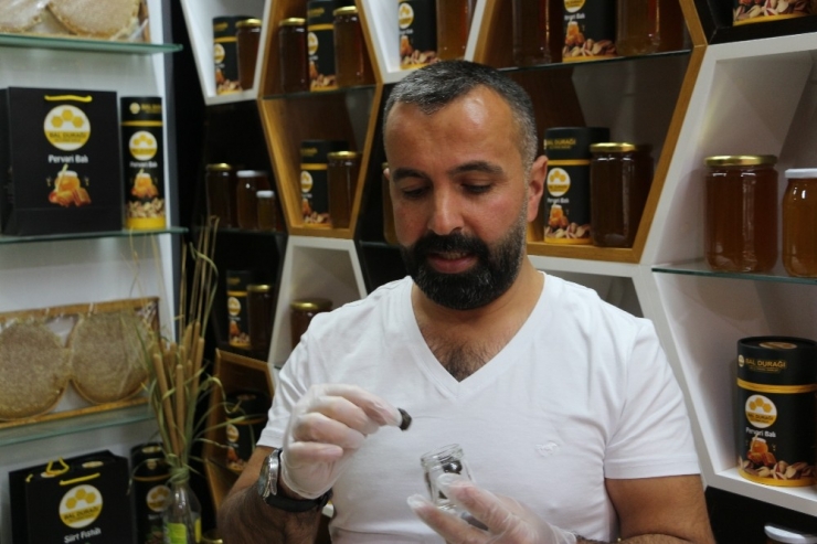 Korona Virüsten Korunmak İsteyen Vatandaşlar, Kilosu 2 Bin Liraya Satılan Propolise Yöneldi