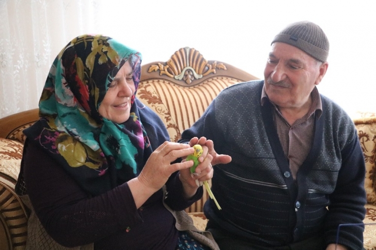 Stk’yı Telefonla Arayıp Muhabbet Kuşu İstediler