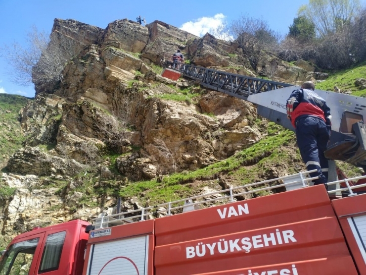 Kayalıkta Mahsur Kalan Keçi İtfaiye Tarafından Kurtarıldı