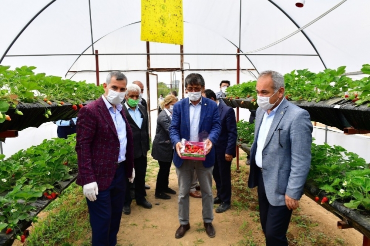 Yeşilyurt’ta 100 Bin Sebze Fidesi Dağıtımına Başlandı