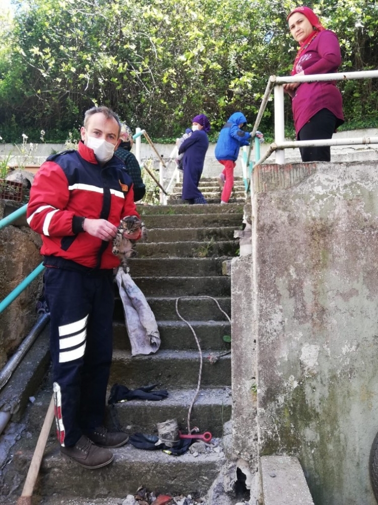 Gidere Sıkışan Yavru Kediyi İtfaiye Kurtardı