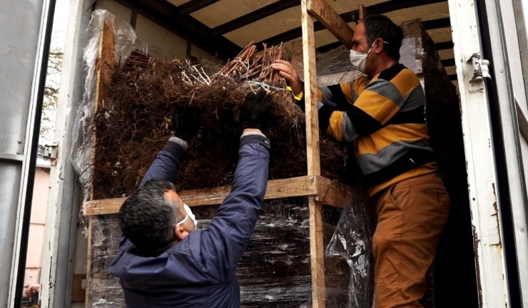 125 Bin Ahududu Fidanı Üreticiyle Buluştu