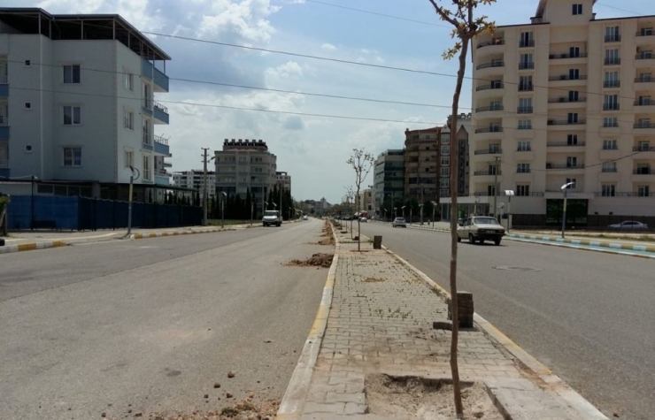 Daha Yeşil Bir Adıyaman İçin Çalışmalar Sürüyor