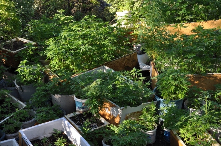 Hurdacılık Şemsiyesi Altında Uyuşturucu Ve Sahte Alkol Üretimine Polis Baskını