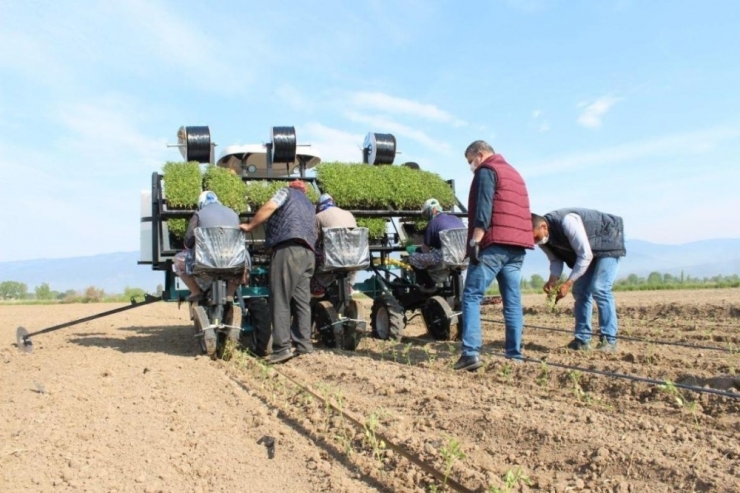 Edremit Belediyesi’nden Tarıma Ciddi Yatırım