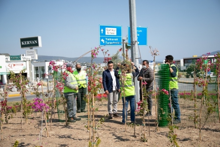 Bodrum Çiçeklerle Donatılıyor