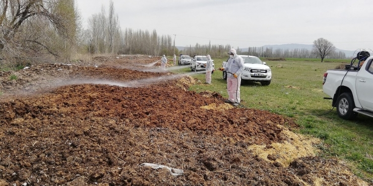 Çorum Belediyesi Vektörel Mücadele Çalışmalarını Hızlandırdı
