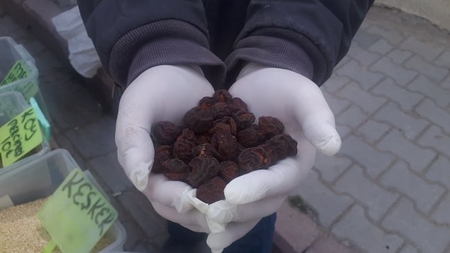 Dağlardan Topladığı Eriği Kurutup Satıyor