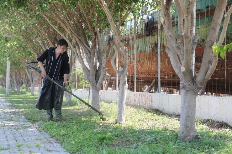 Erdemli Belediyesi İlçeyi Bahara Hazırlıyor