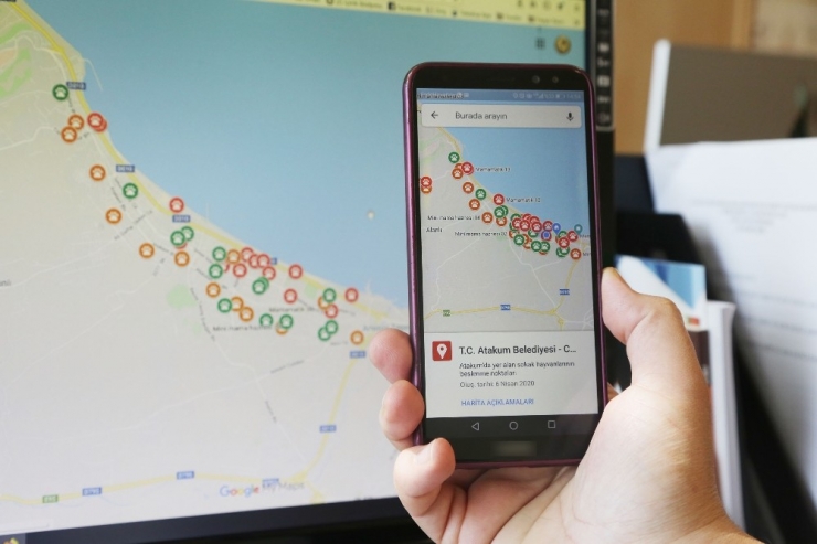 Sokak Canlıları İçin Atakum’dan Dijital Besleme Noktaları Haritası