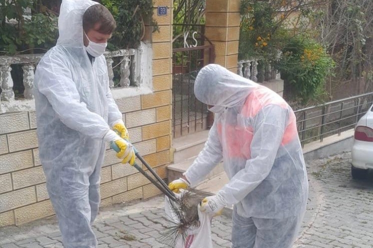 Tekirdağ’da Çam Kese Böceğiyle Mücadele