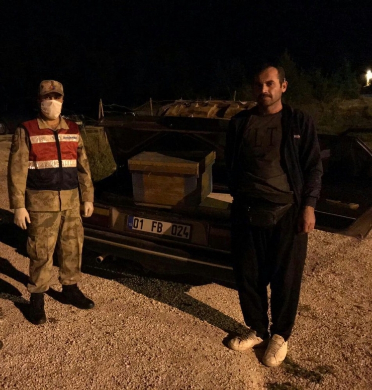 Arı Kovanı Hırsızı Yakalandı