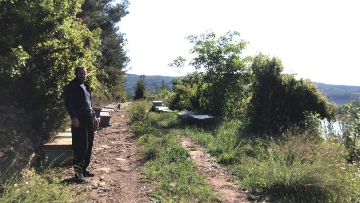 Arı Kovanı Hırsızı Yakalandı