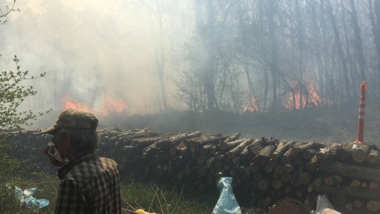 Tekirdağ’da Orman Yangını