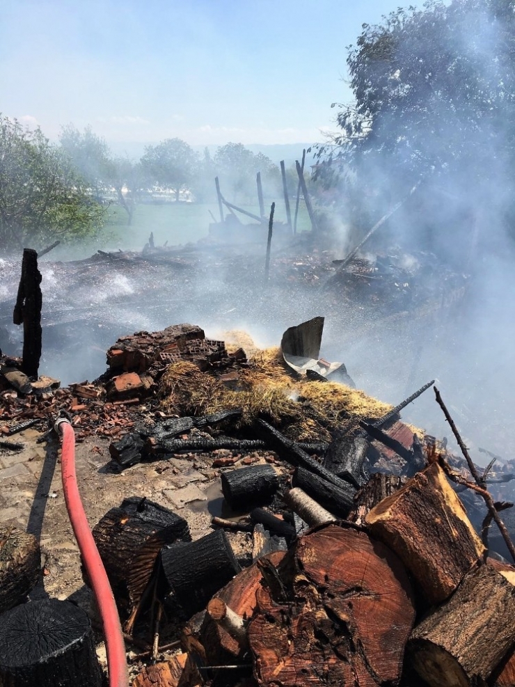 Ahır Yangınından Büyükbaş Hayvanlar Son Anda Kurtarıldı