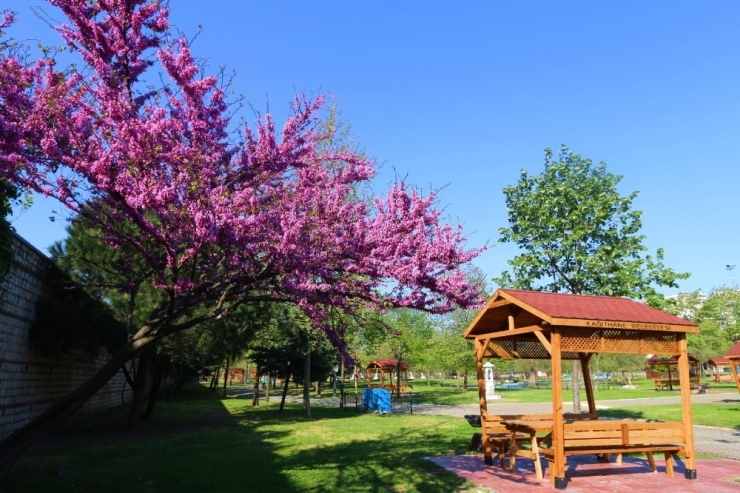 Kağıthane’de Baharın Renk Cümbüşü