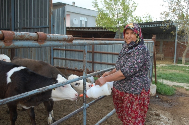 Tüm Türkiye Onun Mesajına Duygulanmıştı
