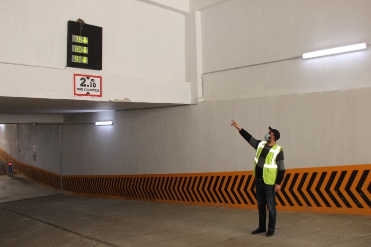 Otoparkın İçine Yuva Yapan Kuş İlgi Odağı Oldu