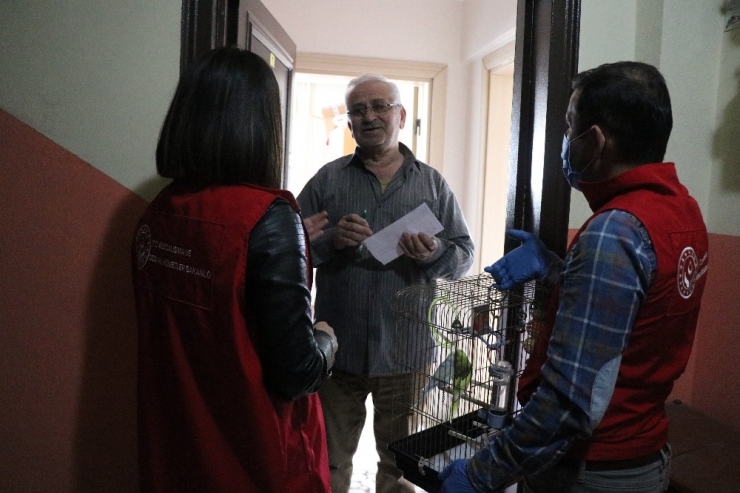 Sokağa Çıkma Yasağı Olan Yaşlı Adam Yalnızlığını Muhabbet Kuşlarıyla Giderecek