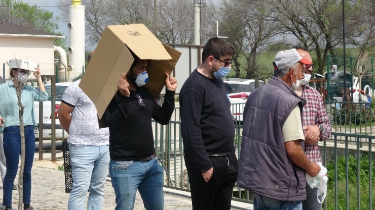 Pandemi Döneminde Yerli Tohum Ve Fidelere Yoğun İlgi