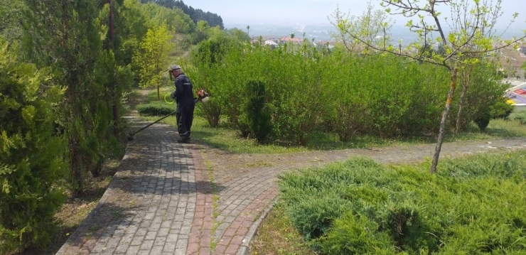 Düzce Belediyesi Çim Biçme Çalışmaları Başlatıldı