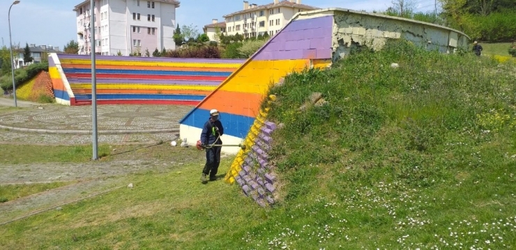 Düzce Belediyesi Çim Biçme Çalışmaları Başlatıldı