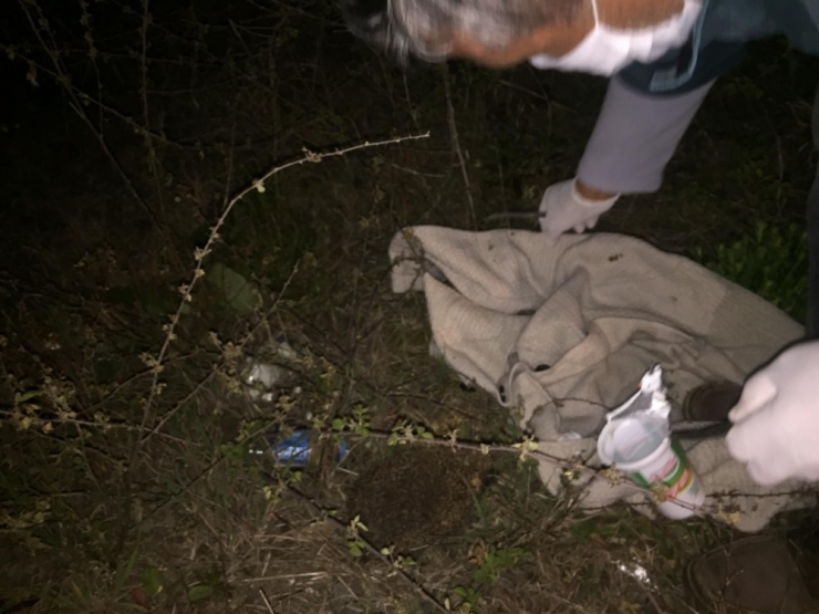 Başı Ayran Kutusuna Sıkışan Kirpiyi Veteriner Kurtardı