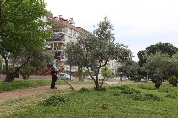 Efeler Belediyesi Bahar Temizliğine Devam Ediyor