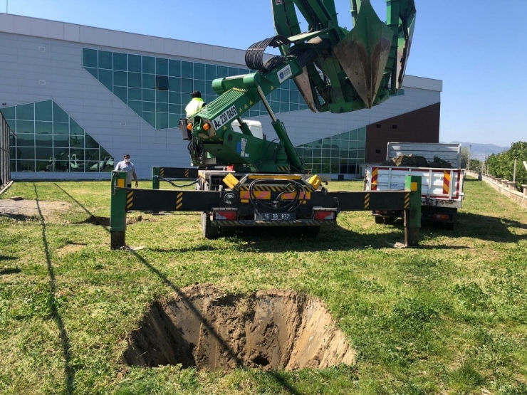 Işık: "Bizi Kucaklayan Doğanın Kıymetini Biliyoruz"