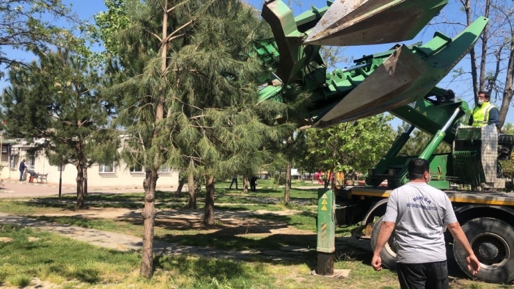 Işık: "Bizi Kucaklayan Doğanın Kıymetini Biliyoruz"