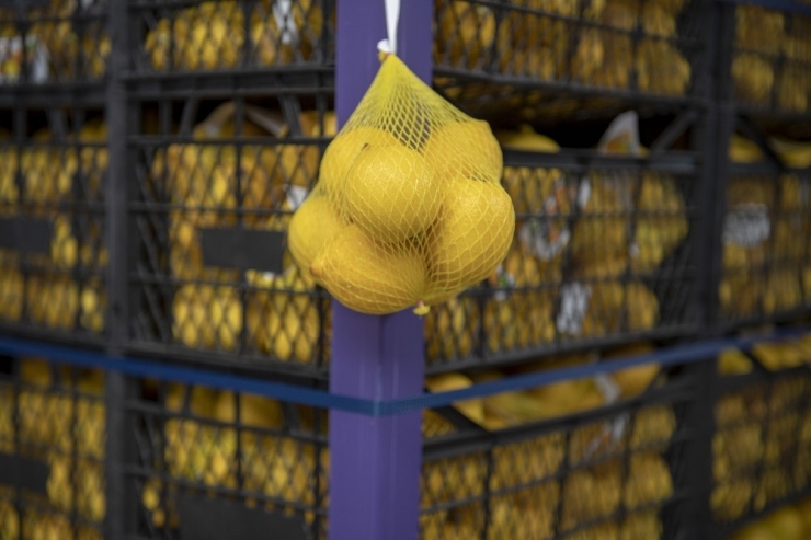 Mersin’den İstanbul’a 20 Ton Limon Daha Gönderildi