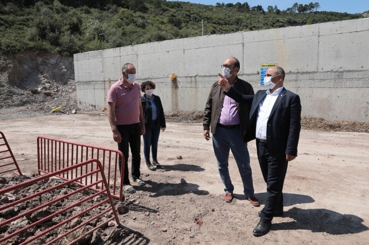 Körfez’de Budanan Ağaçlardan Arta Kalanlar Doğaya Kazandırılıyor